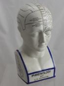 A Porcelain Phrenology by L.N. Fowler depicting a human head.