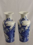 A Pair of Late 19th Century Chinese Blue and White Vases, approx 23 cms high. (WF)