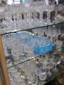 A Collection of Miscellaneous Glasses, including five champagne flutes, six champagne bowls, six red