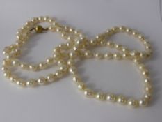 A Fresh Water Pearl Necklace with 14 Ct Yellow Gold Pearl Form Clasp, pearls 6.5 - 7 mm dias, 104 in