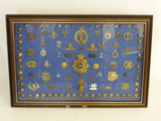 A Framed Display of Military Insignia, including Koyu helmet plate and other items.