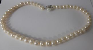 A Pearl Necklace, with 14 ct yellow gold clasp, pearls 8 x 9 mm, 52 in strand, 40 cm long, approx wt