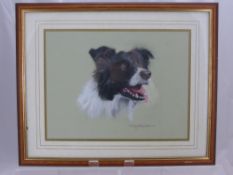 David Wordsworth A Pastel Study of a Border Collie, together with a pencil study of a nude figure by