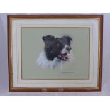 David Wordsworth A Pastel Study of a Border Collie, together with a pencil study of a nude figure by