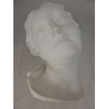 A Plaster Cast Mask of a Serene Woman, approx 34 x 20 cms.