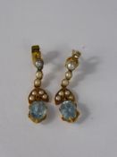 A Pair of 9 Ct Gold Pearl and Aquamarine Drop Earrings, aquas 7 x 5 mm, approx wt 2.8 gms.