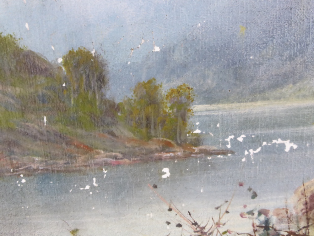 F. Hider 1861 - 1933, an Original Oil Painting entitled "In The Trossachs' approx 50 x 30 cms, - Image 2 of 2