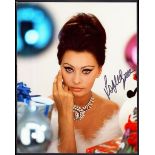 Sophia Loren: Autographed on 10" x 8" co