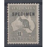 1923-24 £1 grey overprinted "SPECIMEN" Mint, fine.