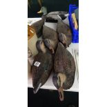 six decoy ducks