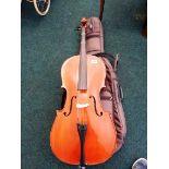 CASED CELLO