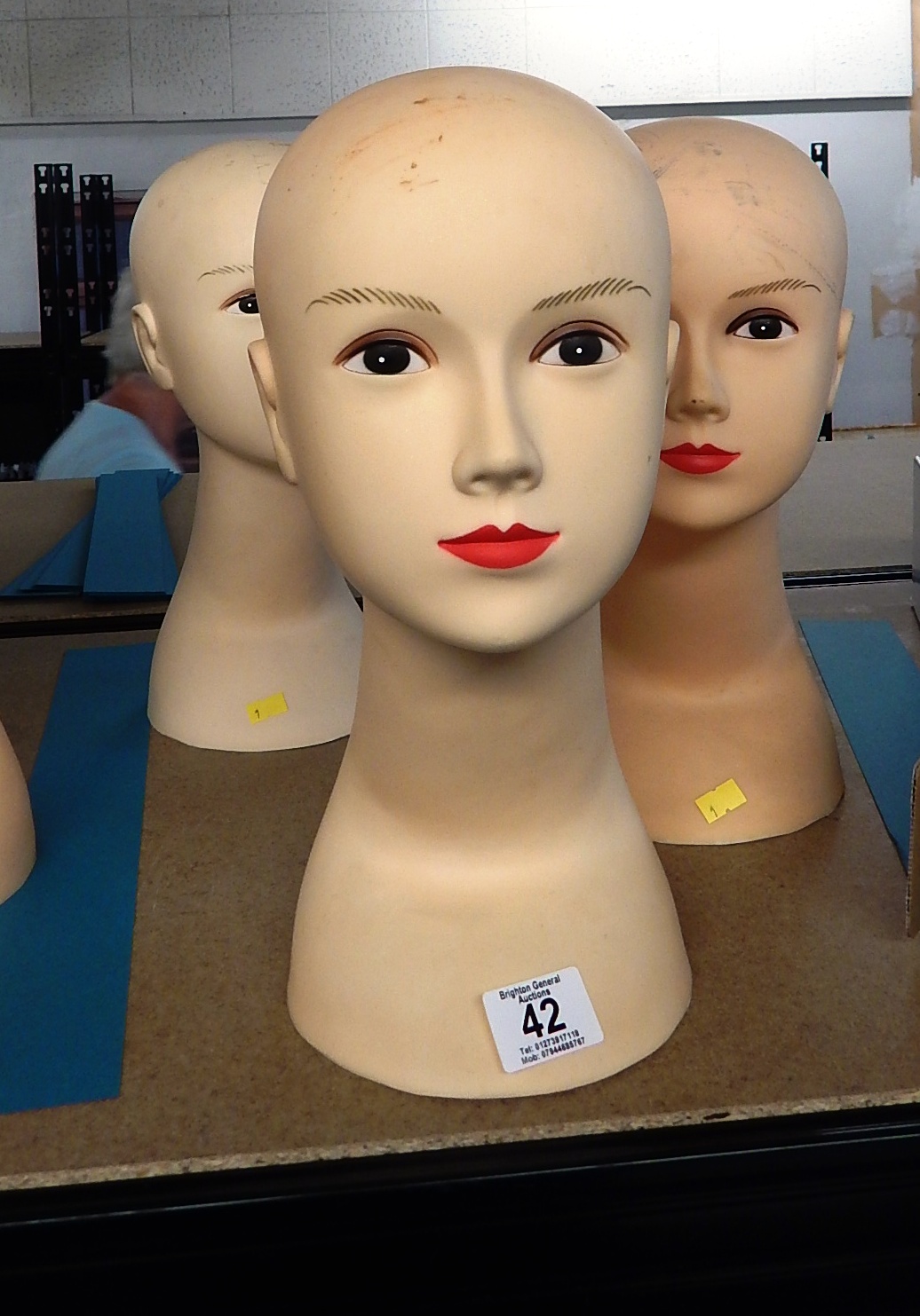 3 FEMALE MODEL HEADS