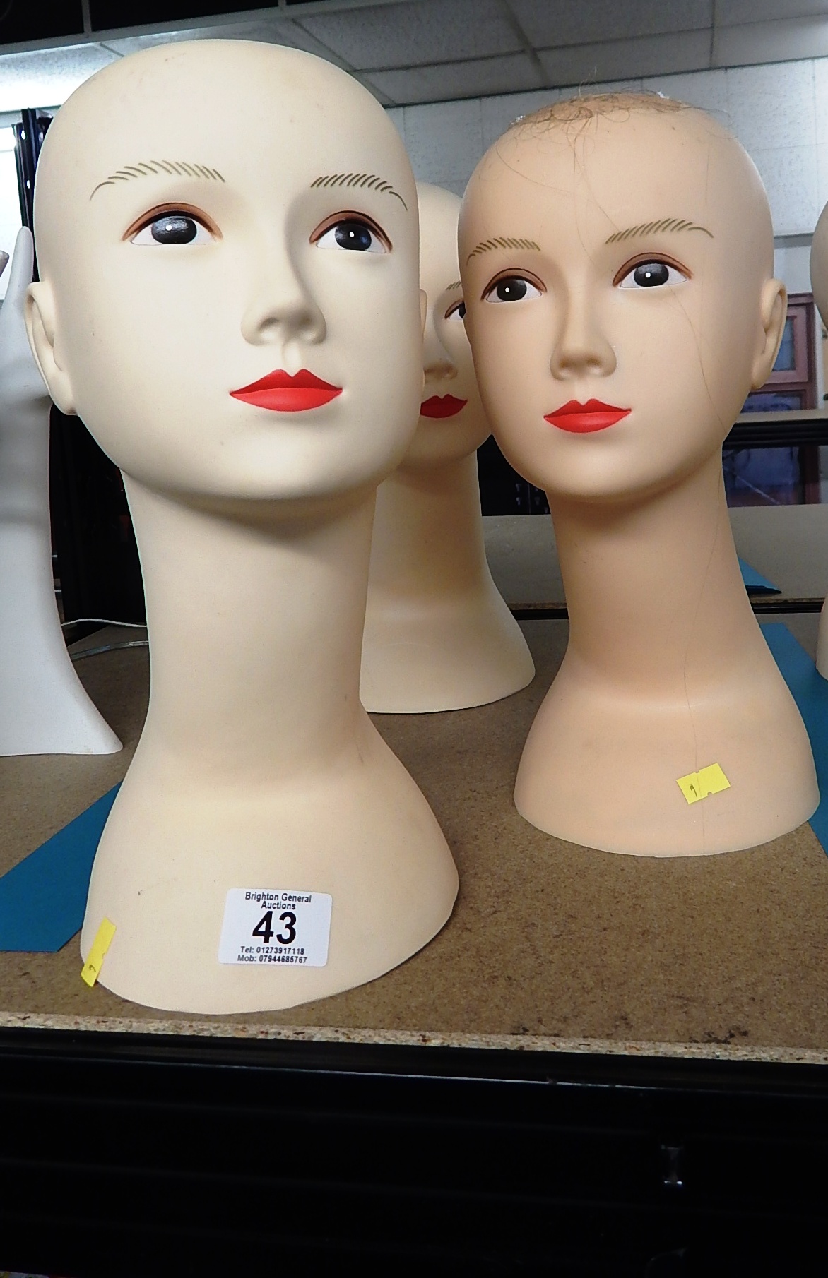 3 FEMALE MODEL HEADS