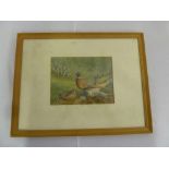 Basil Ede watercolour of pheasants, signed bottom left - 18 x 24cm