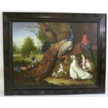 An oil on canvas of exotic birds in a landscape in ebonised frame - 76 x 101cm