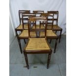 Six William IV dinning chairs with caned seats on four turned cylindrical legs