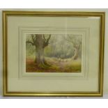 Benjamin D. Sigmund watercolour of sheep in a field, signed bottom left - 17 x 25.5cm