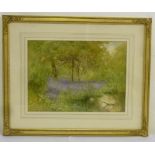 Hugh L. Norris 1863-1942 watercolour of woodland, signed bottom left - 25.5 x 35.5cm