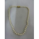 Single row cultured pearl necklace with 18ct yellow gold clasp