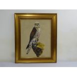 David A Maass framed oil on canvas of a Falcon, signed bottom right, 49 x 39cm