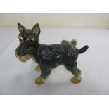 Cold painted bronze of a miniature Schnauzer, A/F