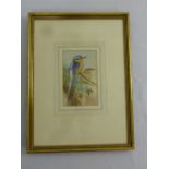 Roland Green watercolour of exotic birds on a branch, signed bottom right, label to verso, 17 x 10.