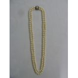A double row of cultured pearls with a white gold, diamond and sapphire clasp