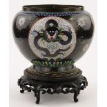 A black ground Cloisonne bowl
with dragon decorated panels, height 9.5", on carved wood stand.