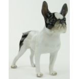 A porcelain figure of a French Bulldog,
probably Nymphenburg, height 4.75".