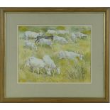 Alan Barlow,
watercolour, a herd of goats in the Garrigue, signed and dated '87, 11.75" x 15.