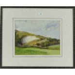 C W Johnson,
watercolour, landscape near Godalming, signed, 11" x 14.