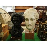 A bust of Beethoven and a Classical head on wooden stand.