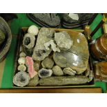 Box of stones and fossils.