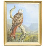 Gareth Parry (b.1951), Red Kite, signed