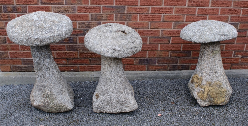 Three Cornish gritstone staddle stones,