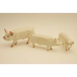 Beswick model 'Middle White Boar', no.