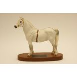 Beswick Connoisseur model Champion Welsh Mountain Pony 'Gredington Simwnt', no.