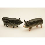 Beswick model 'Berkshire Boar', no.