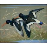 Ralston Gudgeon RSW (1910-1984), Pair of Oystercatchers, watercolour, signed,