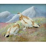 Ralston Gudgeon RSW (1910-1984), Ptarmigan against snow covered heather, watercolour, signed,