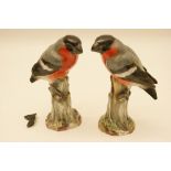 Two Meissen Bullfinches, late 19th Century, both cock birds decorated in colours,