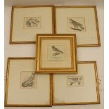 Thomas Bewick (1753-1828), five woodcut engravings of indigenous birds including Goshawk, Goldcrest,