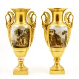 Pair of Paris Empire vases, circa 1830, ovoid form with trumpet neck and winged swan handles,