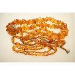 Three amber necklaces, combined weight approx.