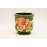 Moorcroft Hibiscus jardiniere, green ground, painted initials,