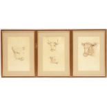 J Gill (19th Century), Studies of cattle , three watercolours,