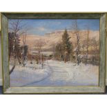 Scandinavian School (20th Century), Snowy landscape, oil on canvas, indistinctly signed,