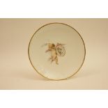 Mintons hand decorated plate by J Currie,