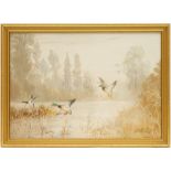Reuben Ward Binks (1880-1950), Mallards alighting on a misty pond, gouache, signed,