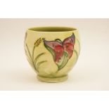 Moorcroft Arum Lily small jardiniere,